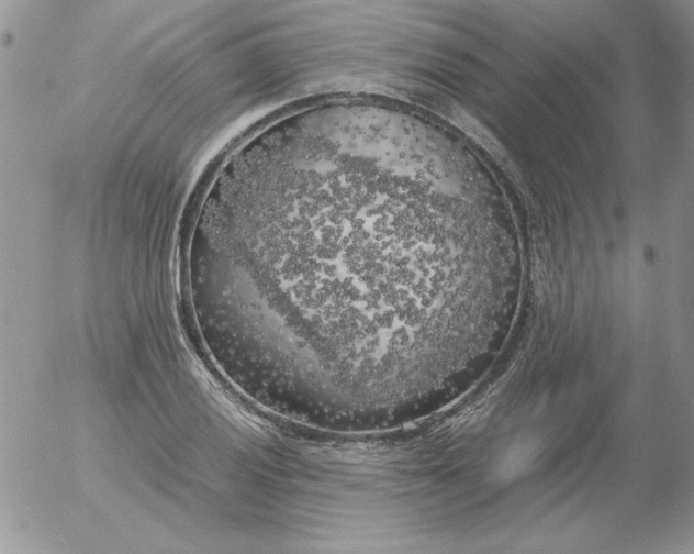 X0000055511028200509022052