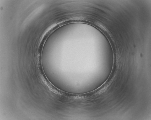 X0000055511029200509022052