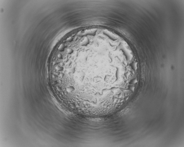 X0000055511031200509022052