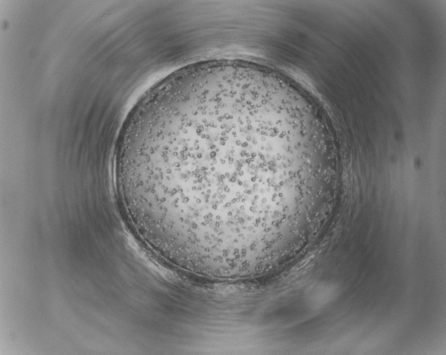 X0000055511032200509022052