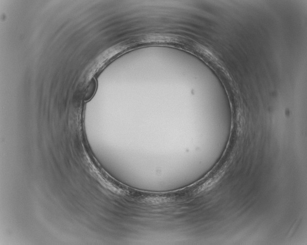 X0000055511033200509022052