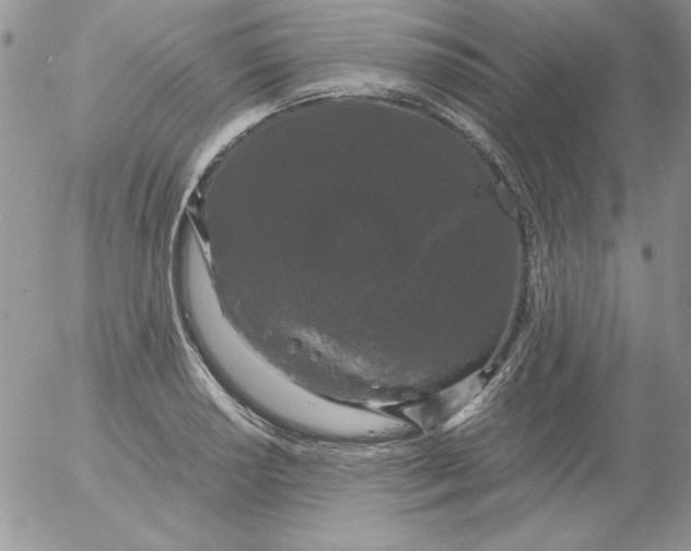 X0000055511034200509022052