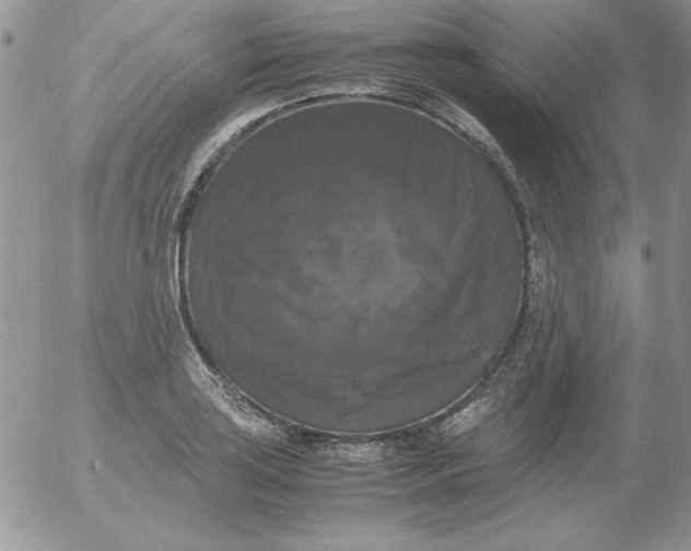 X0000055511035200509022052