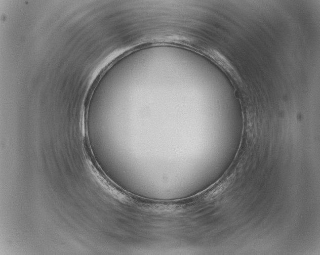 X0000055511036200509022052