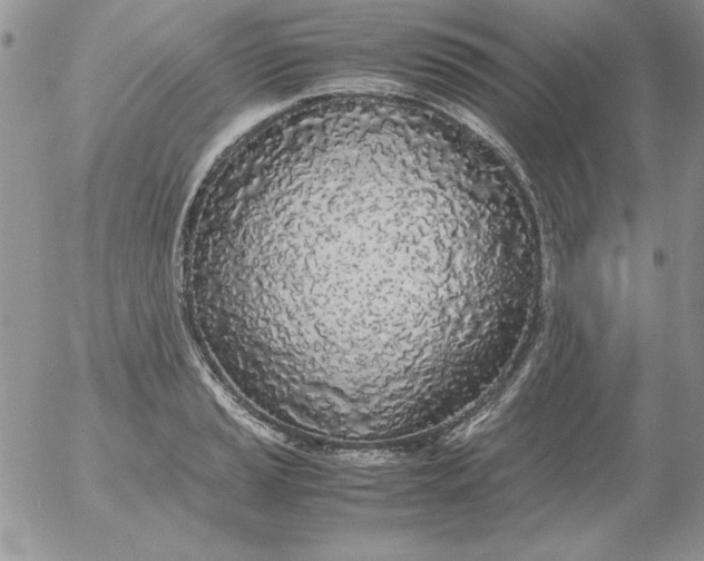 X0000055511037200509022052