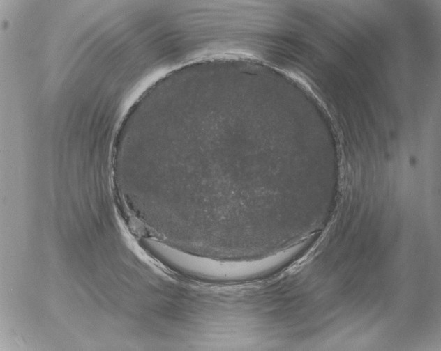 X0000055511038200509022052