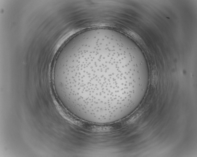 X0000055511039200509022052