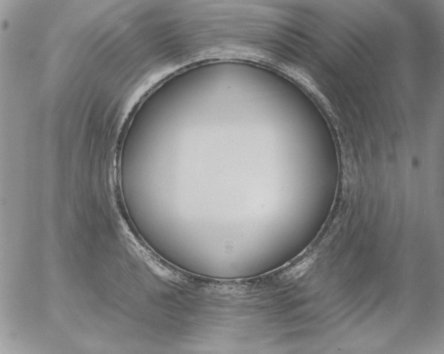 X0000055511040200509022052