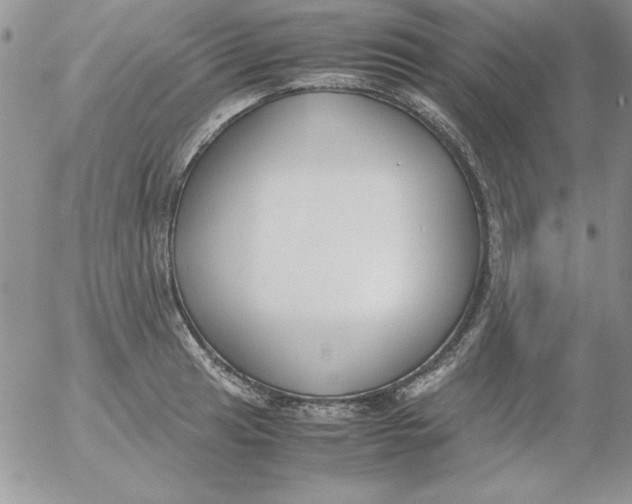 X0000055511041200509022052