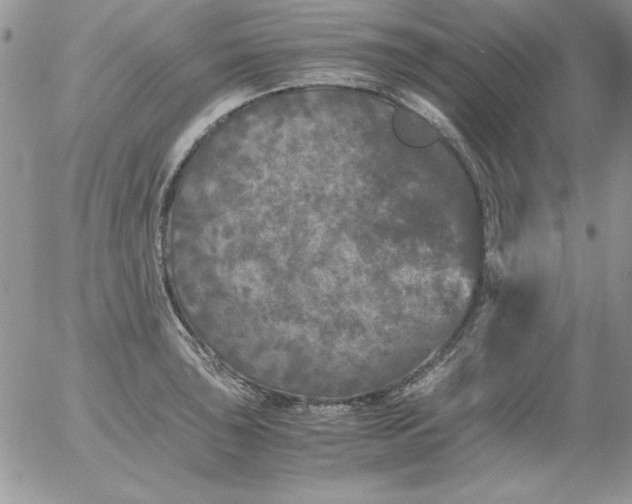 X0000055511043200509022052