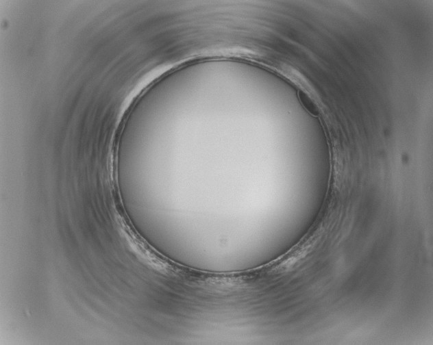 X0000055511044200509022053