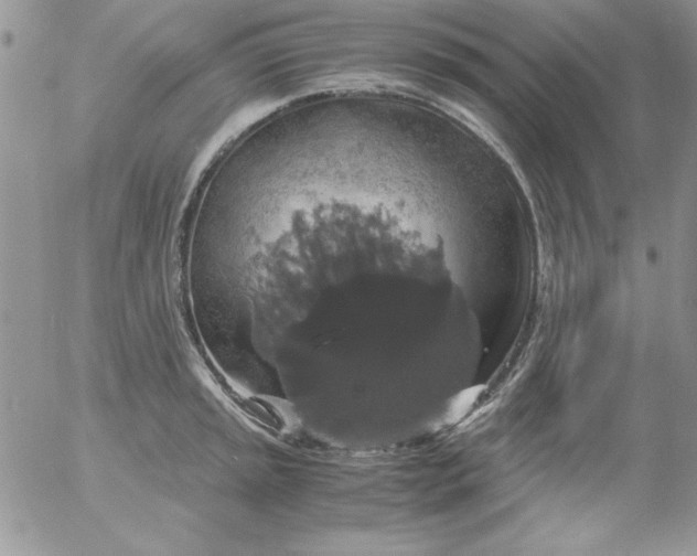 X0000055511045200509022053