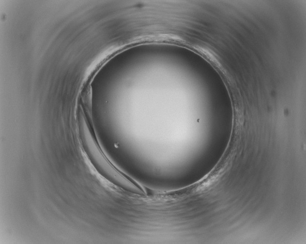 X0000055511046200509022053