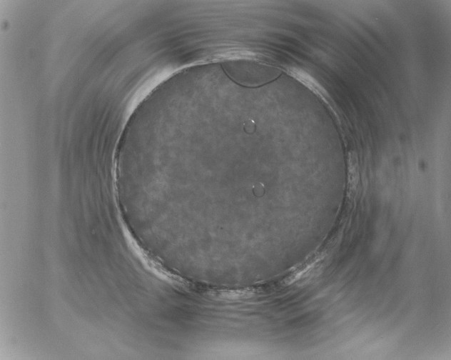 X0000055511047200509022053