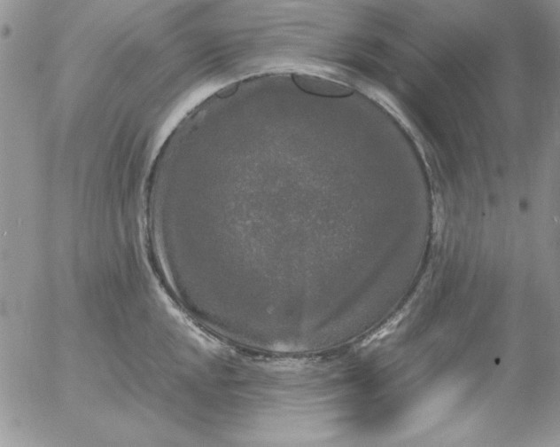 X0000055511048200509022053