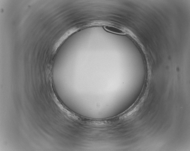 X0000055511049200509022053