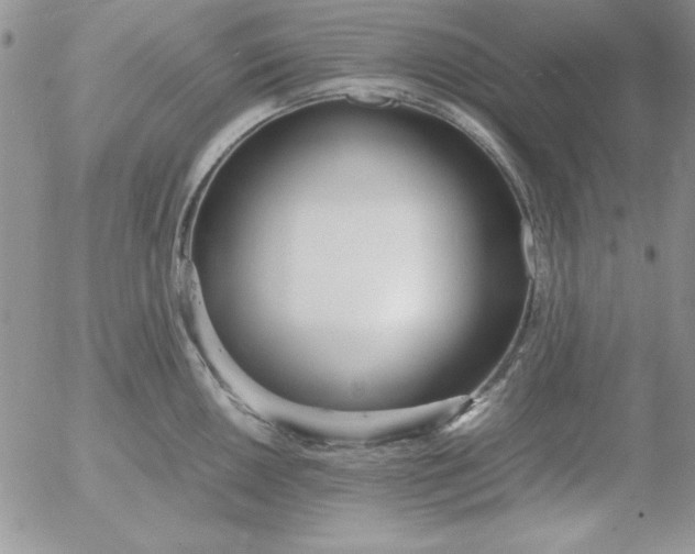 X0000055511050200509022053