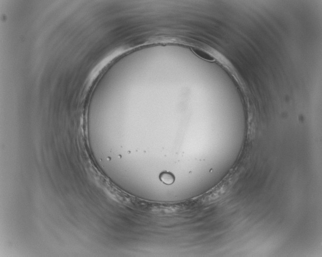 X0000055511051200509022053