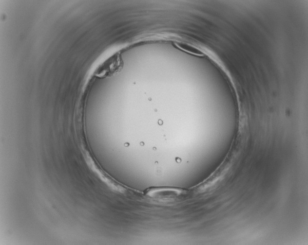 X0000055511053200509022053