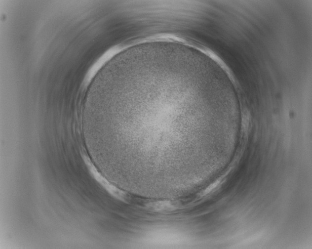 X0000055511054200509022053