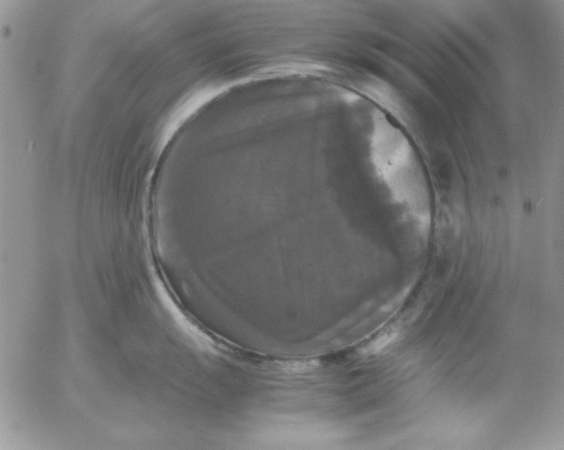 X0000055511055200509022053