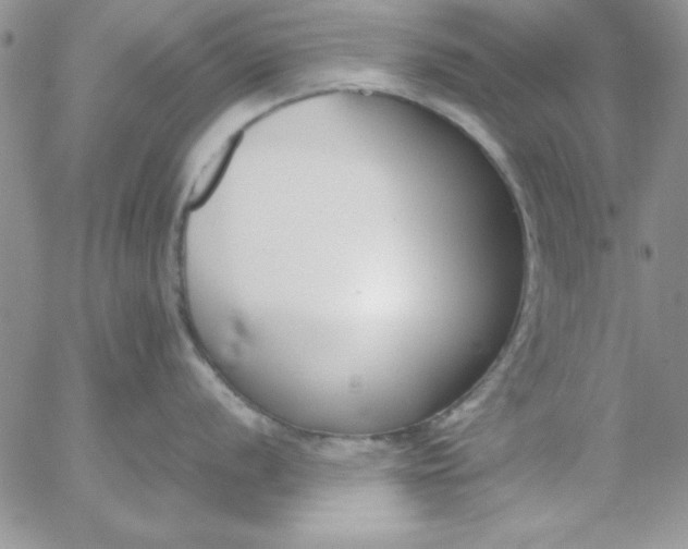 X0000055511056200509022053