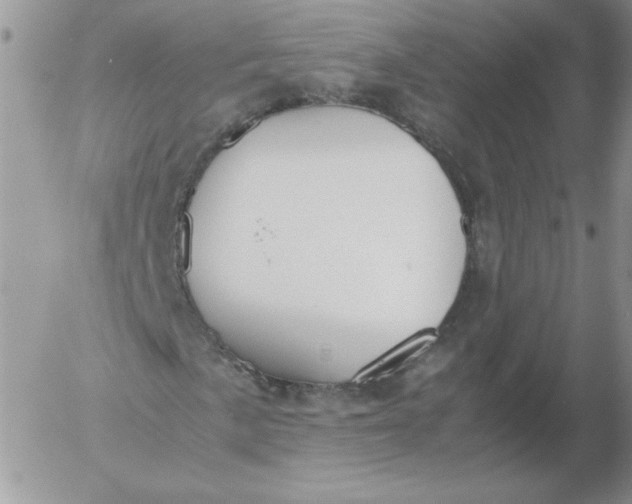 X0000055511057200509022052