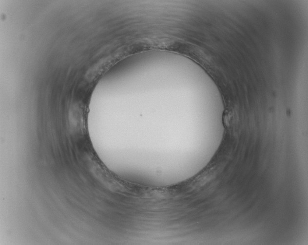 X0000055511058200509022052