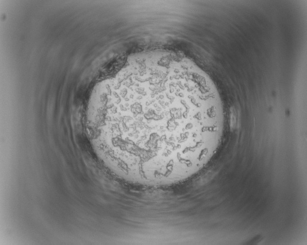 X0000055511059200509022052