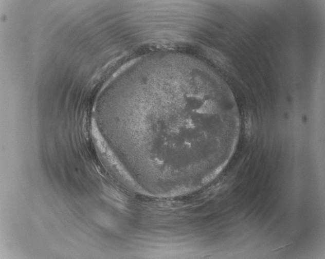 X0000055511060200509022052