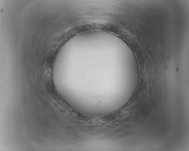 X0000055511061200509022052