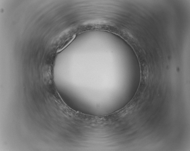 X0000055511062200509022052