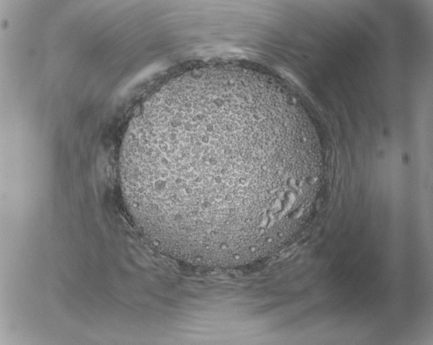 X0000055511063200509022052