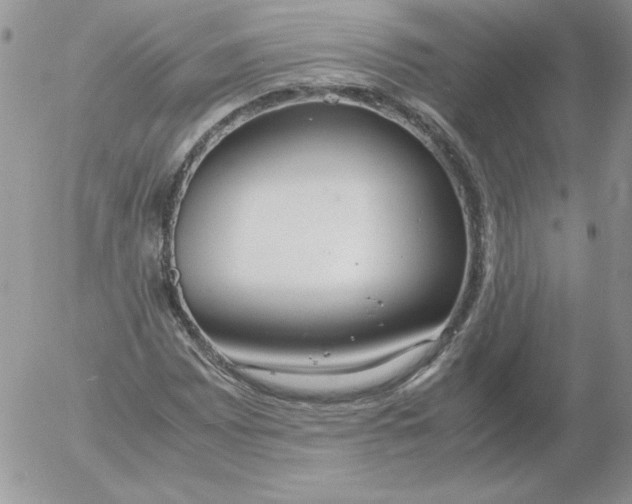 X0000055511065200509022052