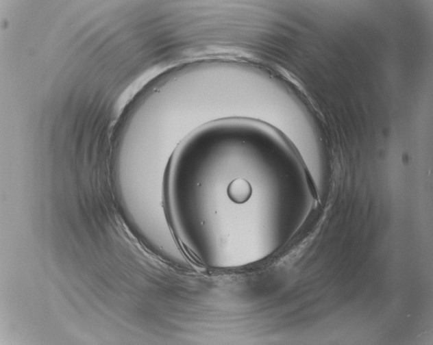 X0000055511066200509022052