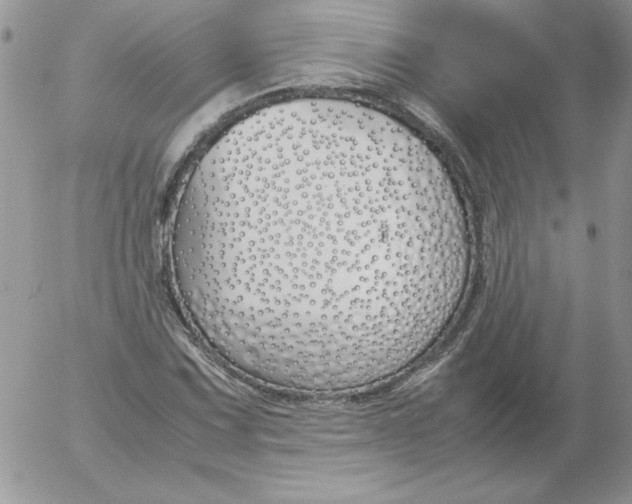 X0000055511067200509022052