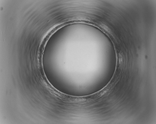 X0000055511068200509022052