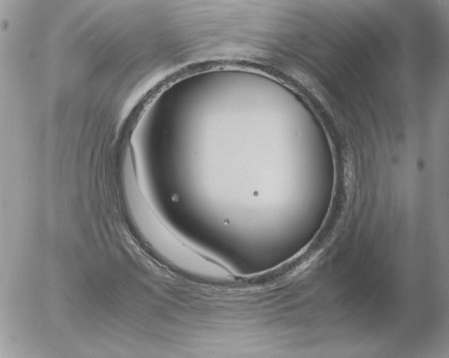 X0000055511069200509022052