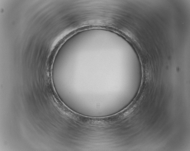 X0000055511070200509022052