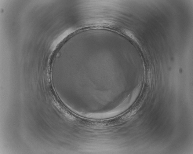 X0000055511071200509022052