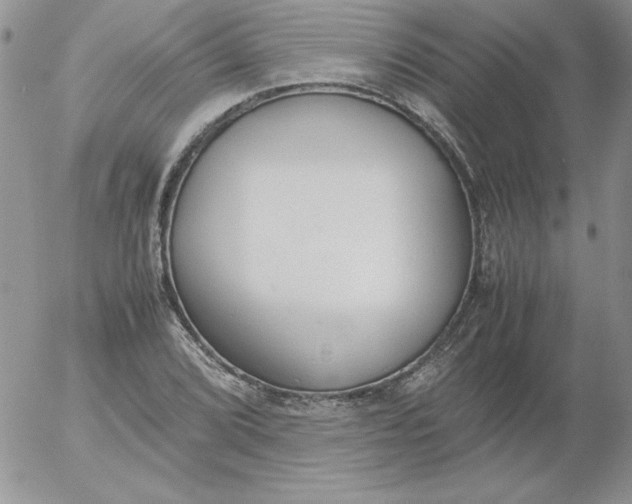 X0000055511072200509022052