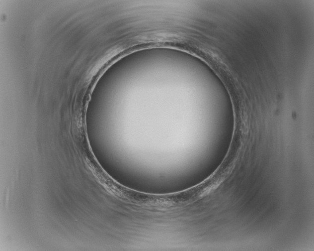 X0000055511073200509022052