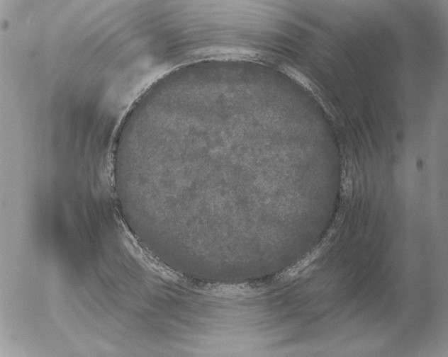 X0000055511074200509022052