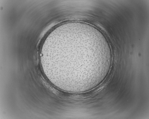 X0000055511075200509022052