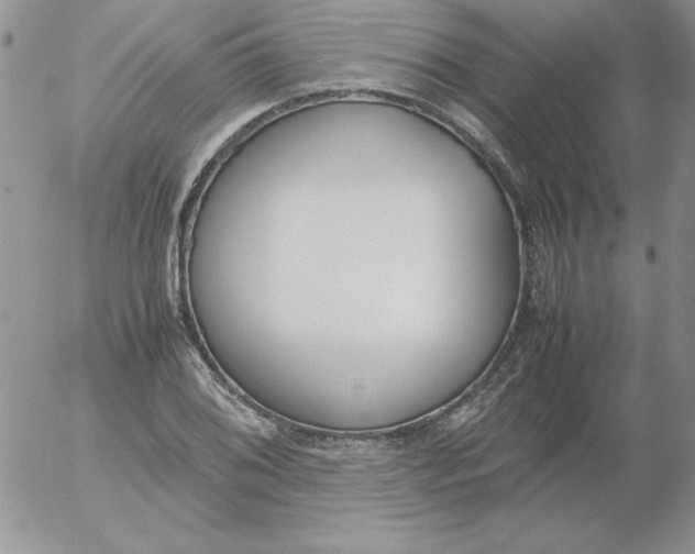 X0000055511076200509022052