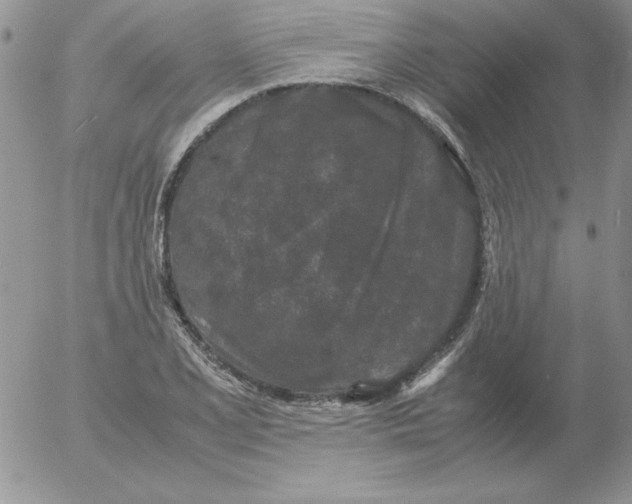 X0000055511077200509022052