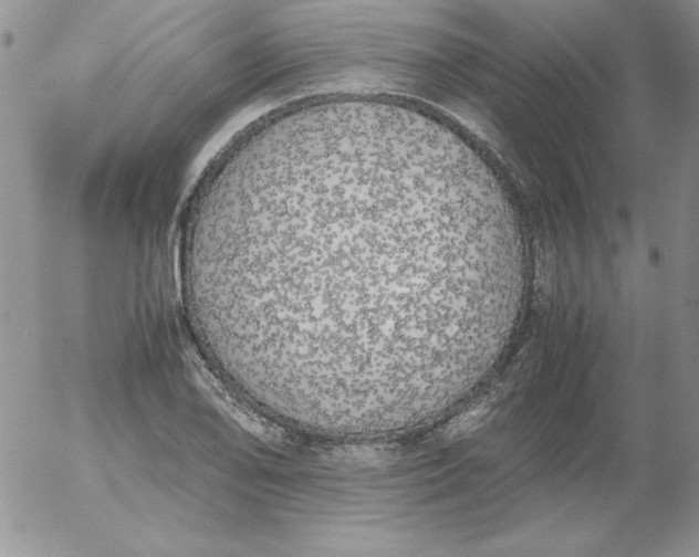 X0000055511078200509022052