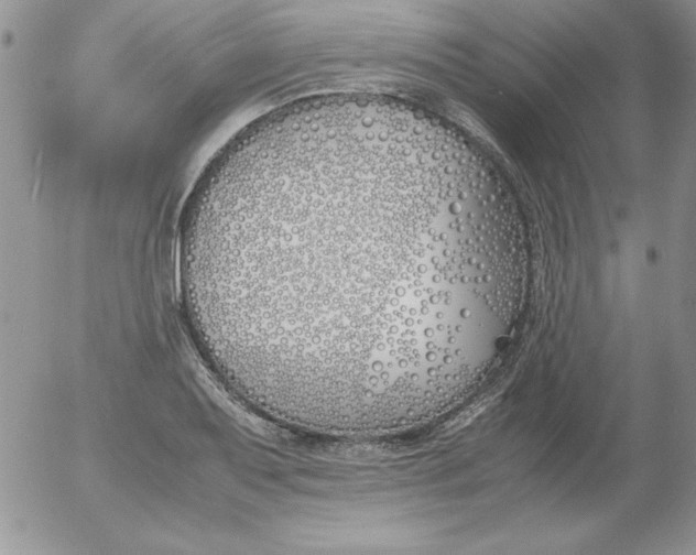 X0000055511079200509022052