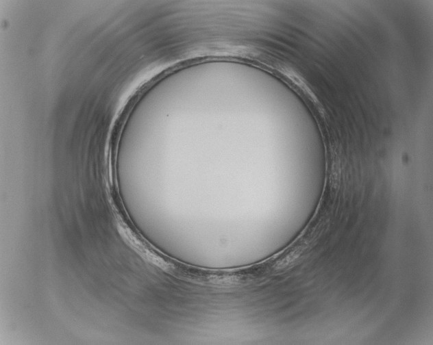 X0000055511080200509022052