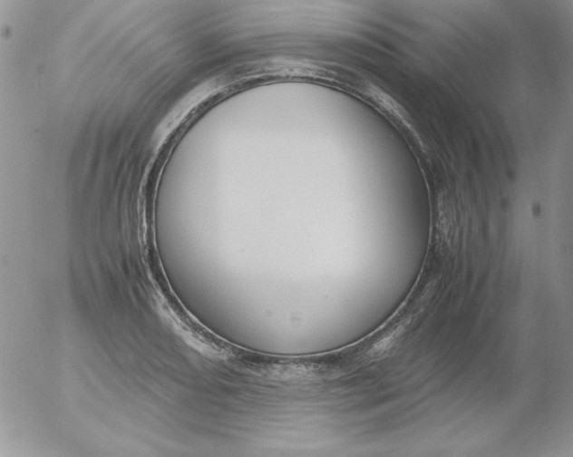 X0000055511082200509022052